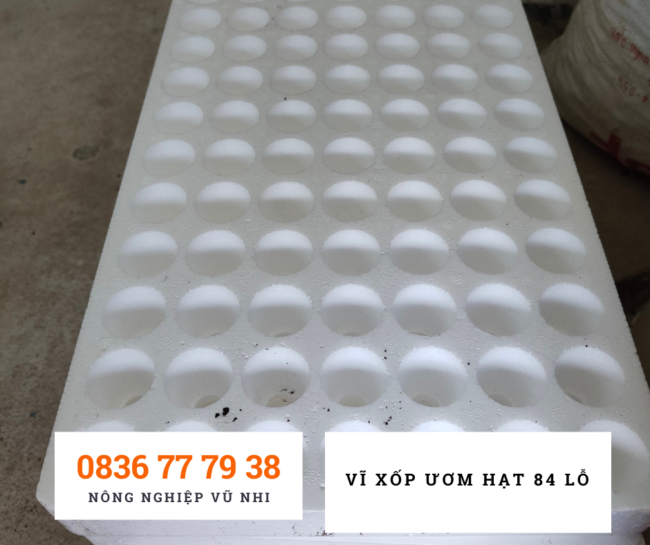 Vĩ xốp ươm hạt 84  ( khay xốp ươm cây)- hatgiong24h