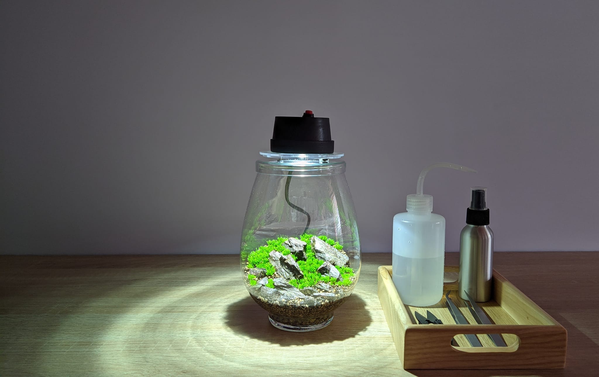 Bộ bình thủy tinh mosslight terrarium size 14x22cm