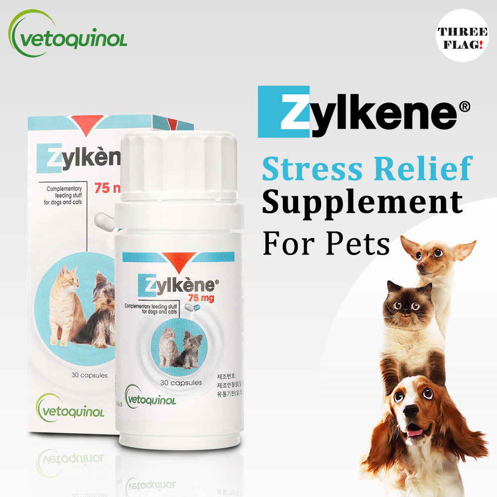 zylkene for cats pets at home