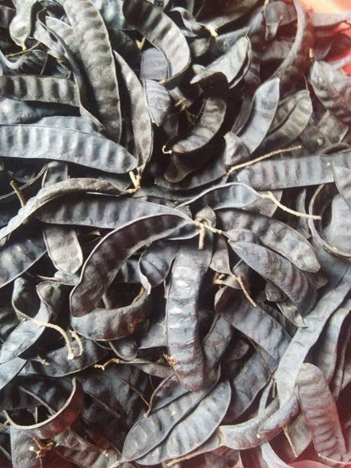 Bồ kết khô sỉ lẻ toàn quốc( 0,5 kg)