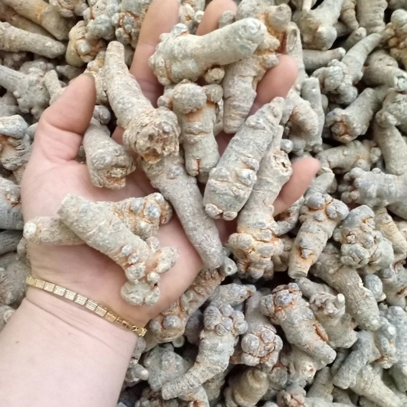 [CHÍNH HÃNG] CỦ TAM THẤT Bắc Khô Loại 1 (Thơm ChUẩn Lạc Củ 50)