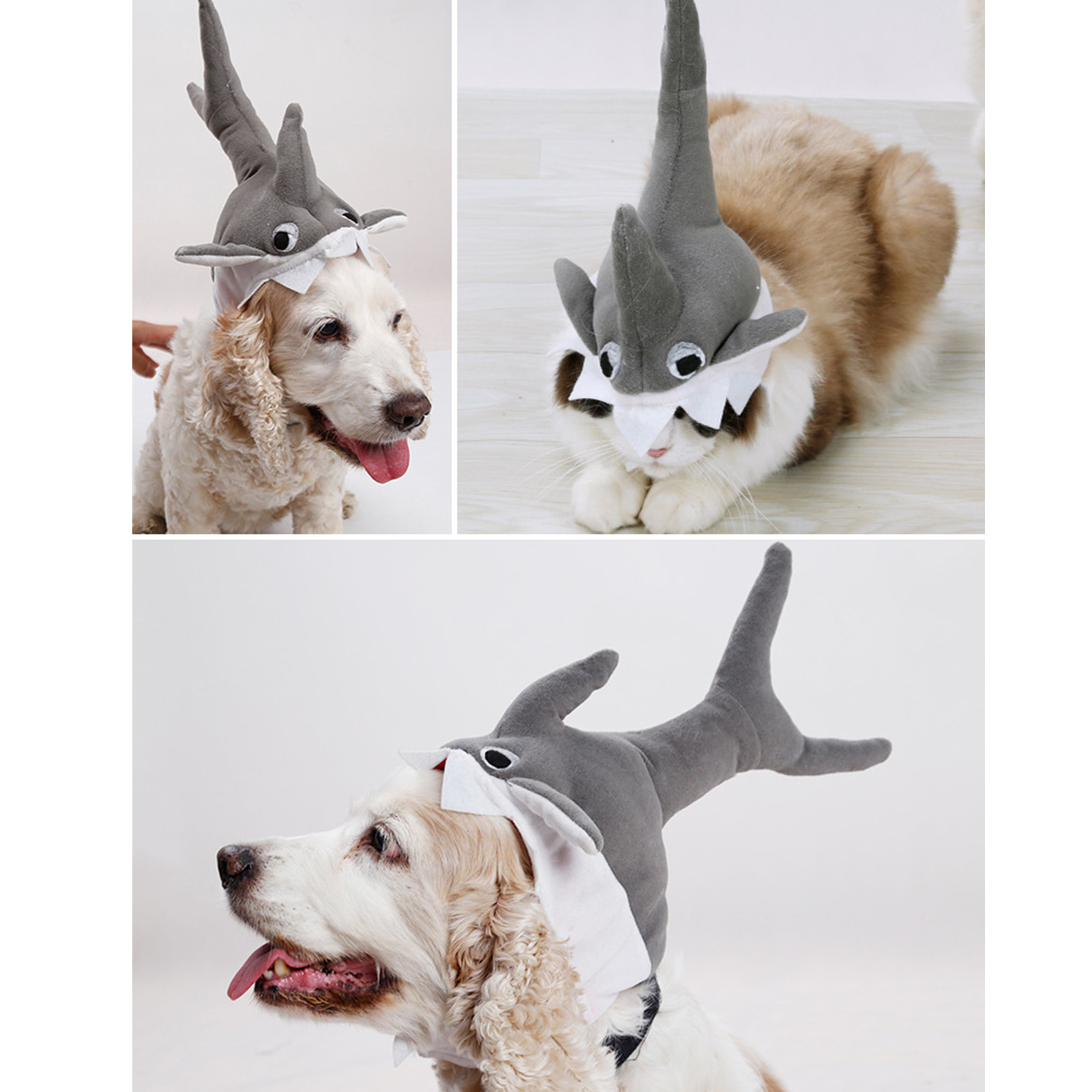 Dog shark outlet hat