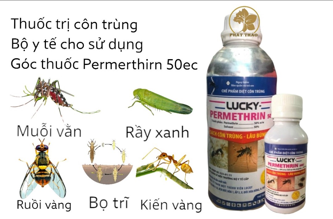 CHẾ PHẨM DIỆT CÔN TRÙNG LUCKY-PERMETHRIN 50EC Chai 100ml