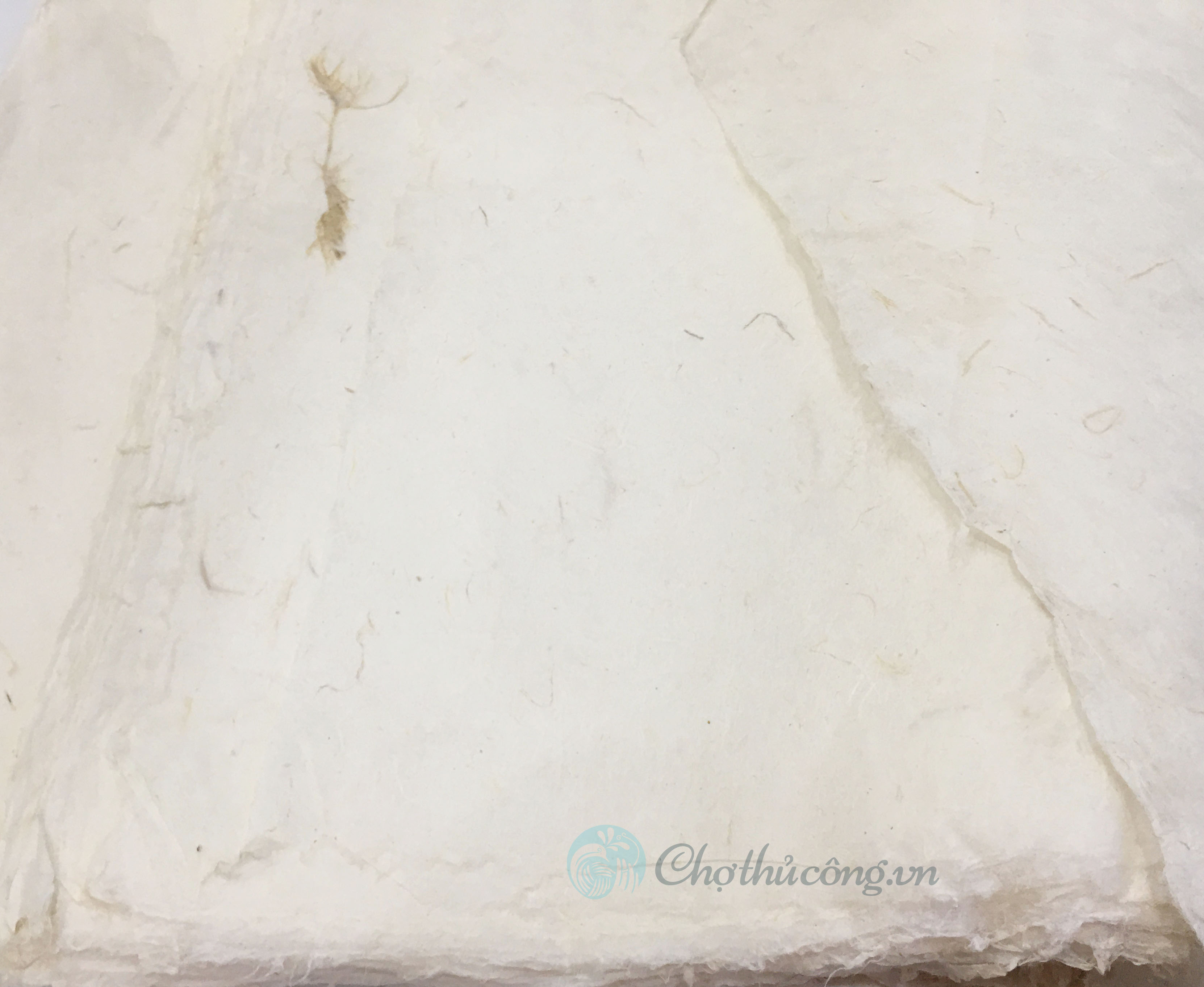 Giấy dó Vân truyền thống Việt Nam - giấy có vân cây tự nhiên dùng trang trí, làm đèn, dán gỗ, vẽ tranh, viết thư pháp