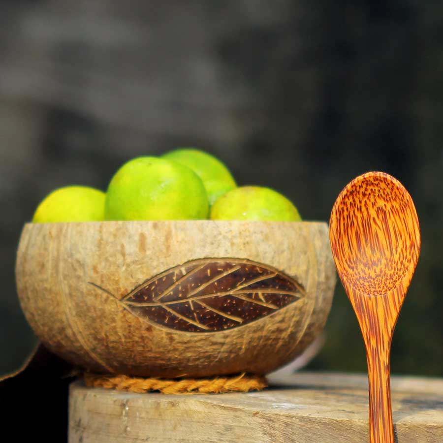 [Chuẩn xuất khẩu]Tô (Bát) gáo dừa hoa văn Cetus [Cetus Pattern Coconut Bowl]