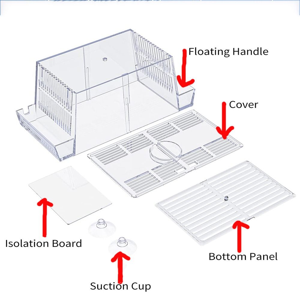 Clownfish%20Transparent%20Incubator%20with%20Suction%20Cups%20Isolation%20Fish%20Baby%20Hatchery%20Fish%20Isolation%20Box%20Aquarium%20Breeder%20Box%20Fish%20Breeding%20Box%20-%20Image%204