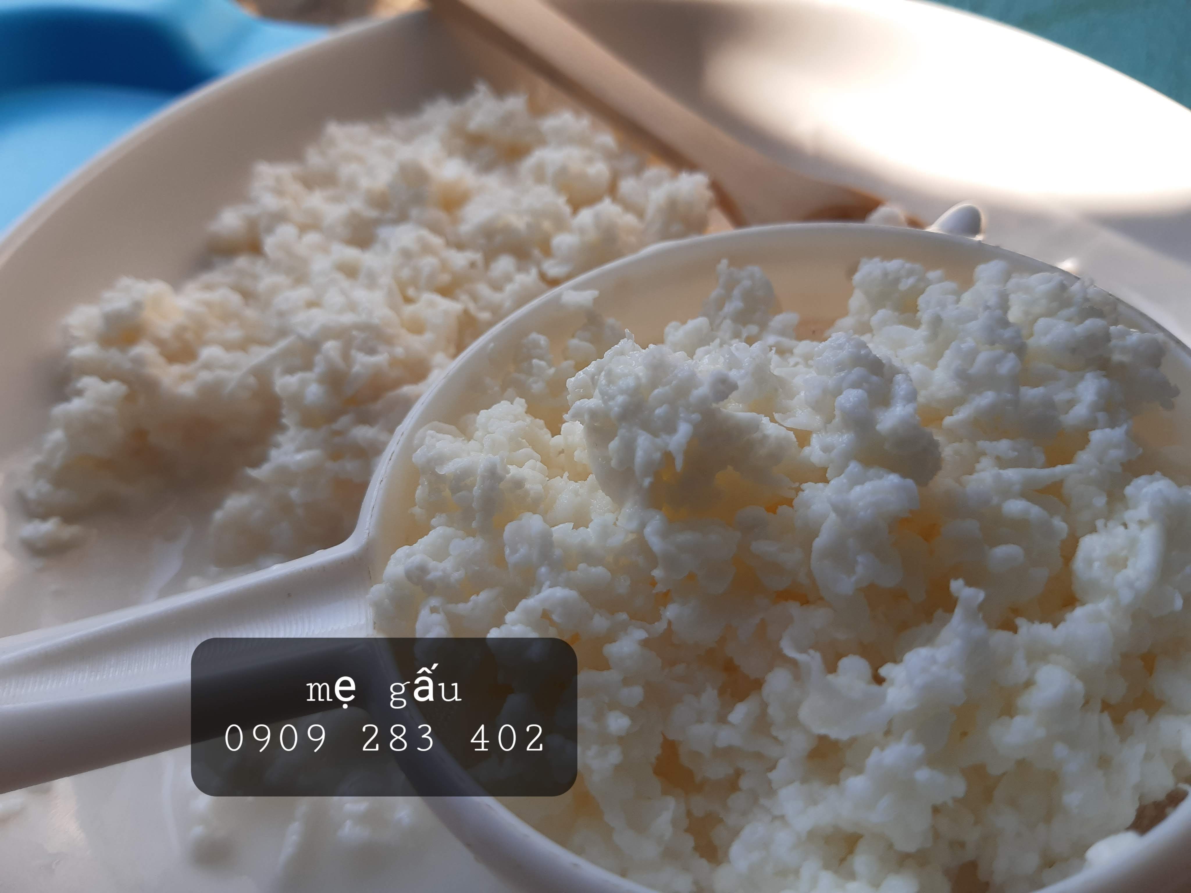 1 phần nấm sữa kefir + 1 muỗng gỗ/sứ