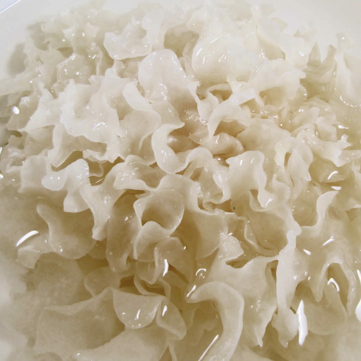 Nấm Tuyết ( Ngân Nhĩ )|100G