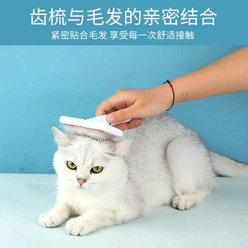 Lược Chải Lông Chó Mèo màu trắng
