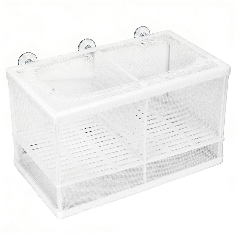 Fish Separation With Suction Cup Aquarium Fish Breeder Box With ...