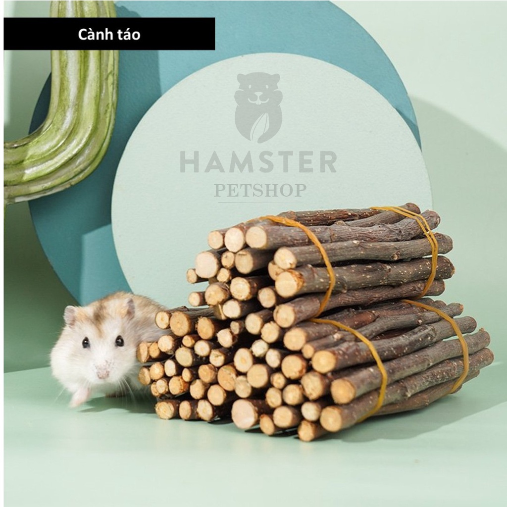 Cành táo mài răng cho Hamster