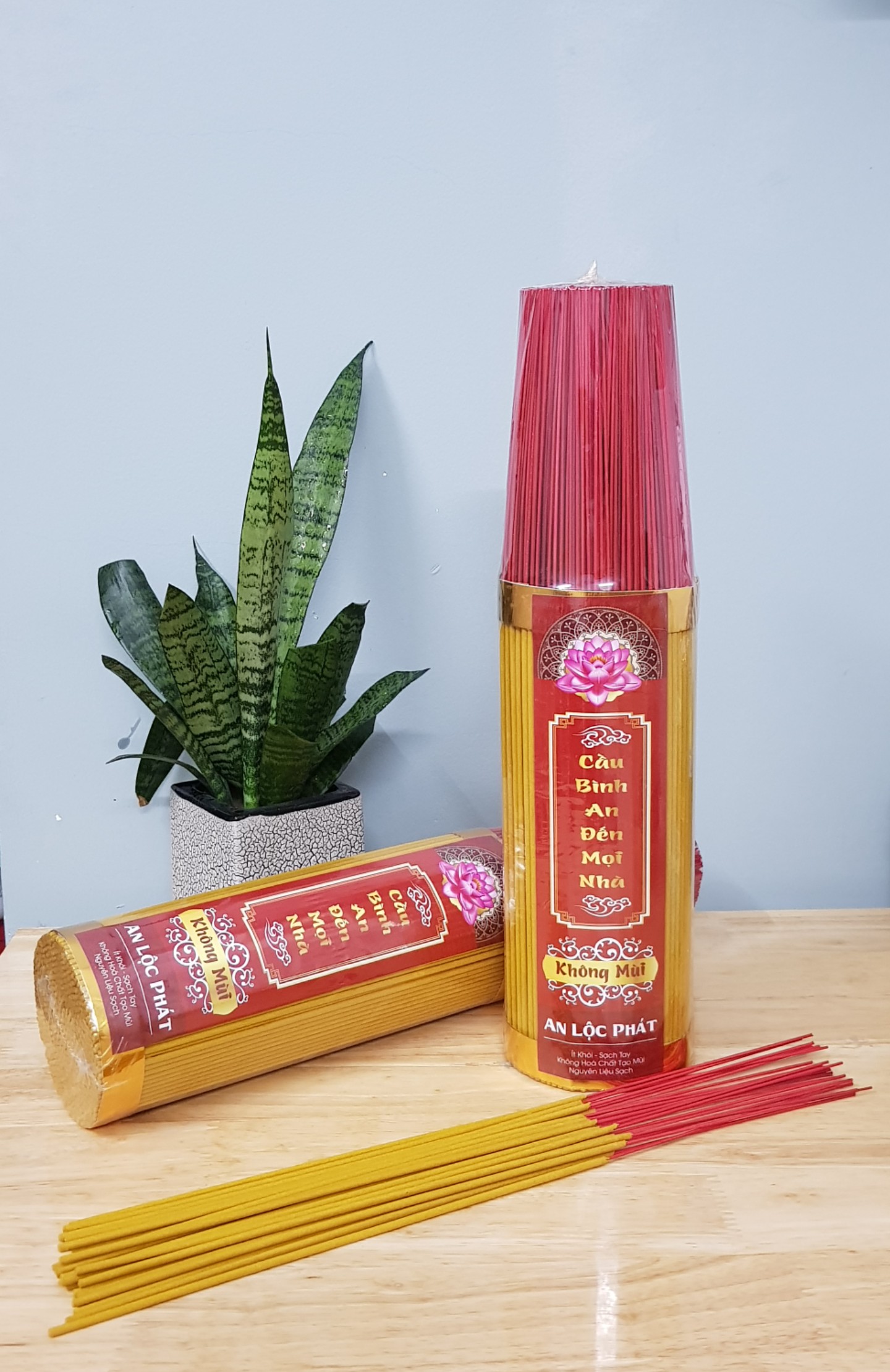 NHANG THƯỜNG - KHÔNG MÙI BÓ LỚN 500 CÂY