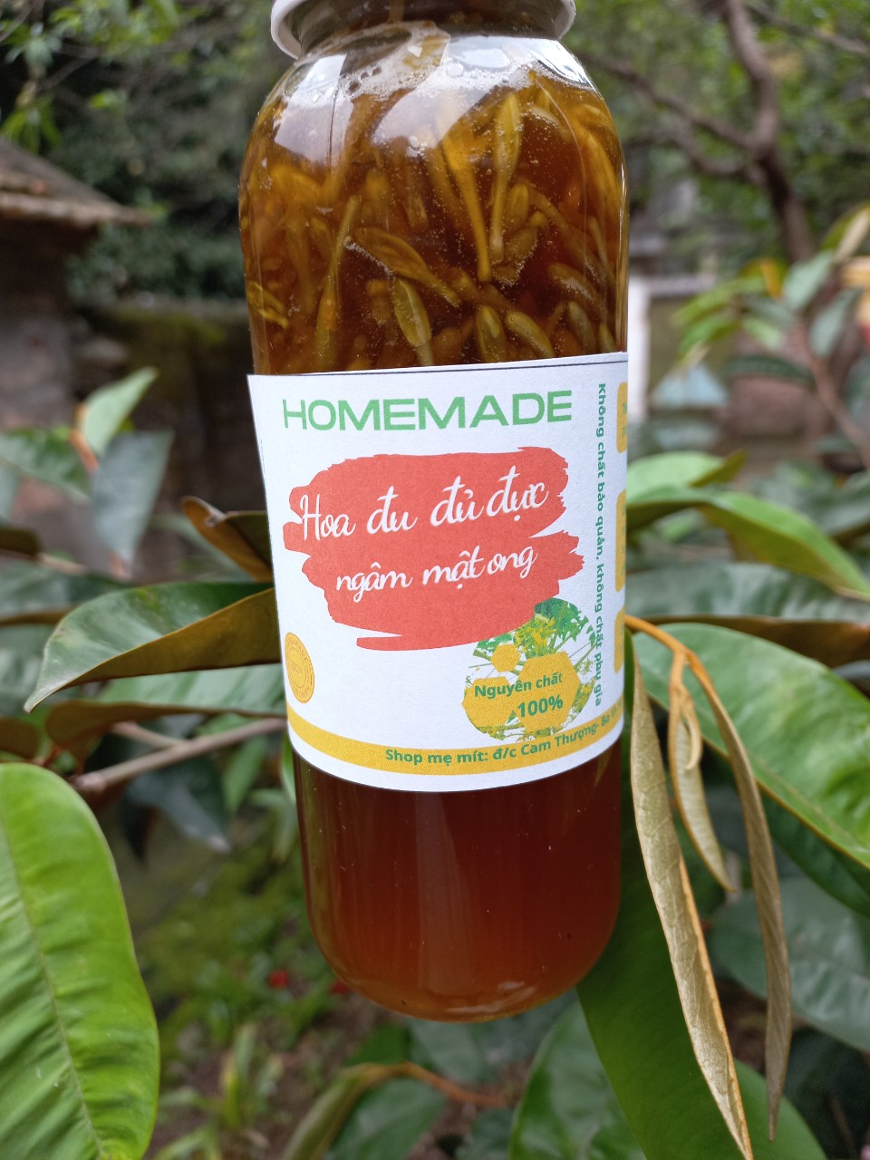 Hoa đu đủ đực ngâm mật ong