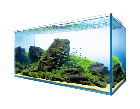 ADA LIGHT SCREEN W60×H36cm ADA Light Screen 60 - 60x36cm | Green Aqua