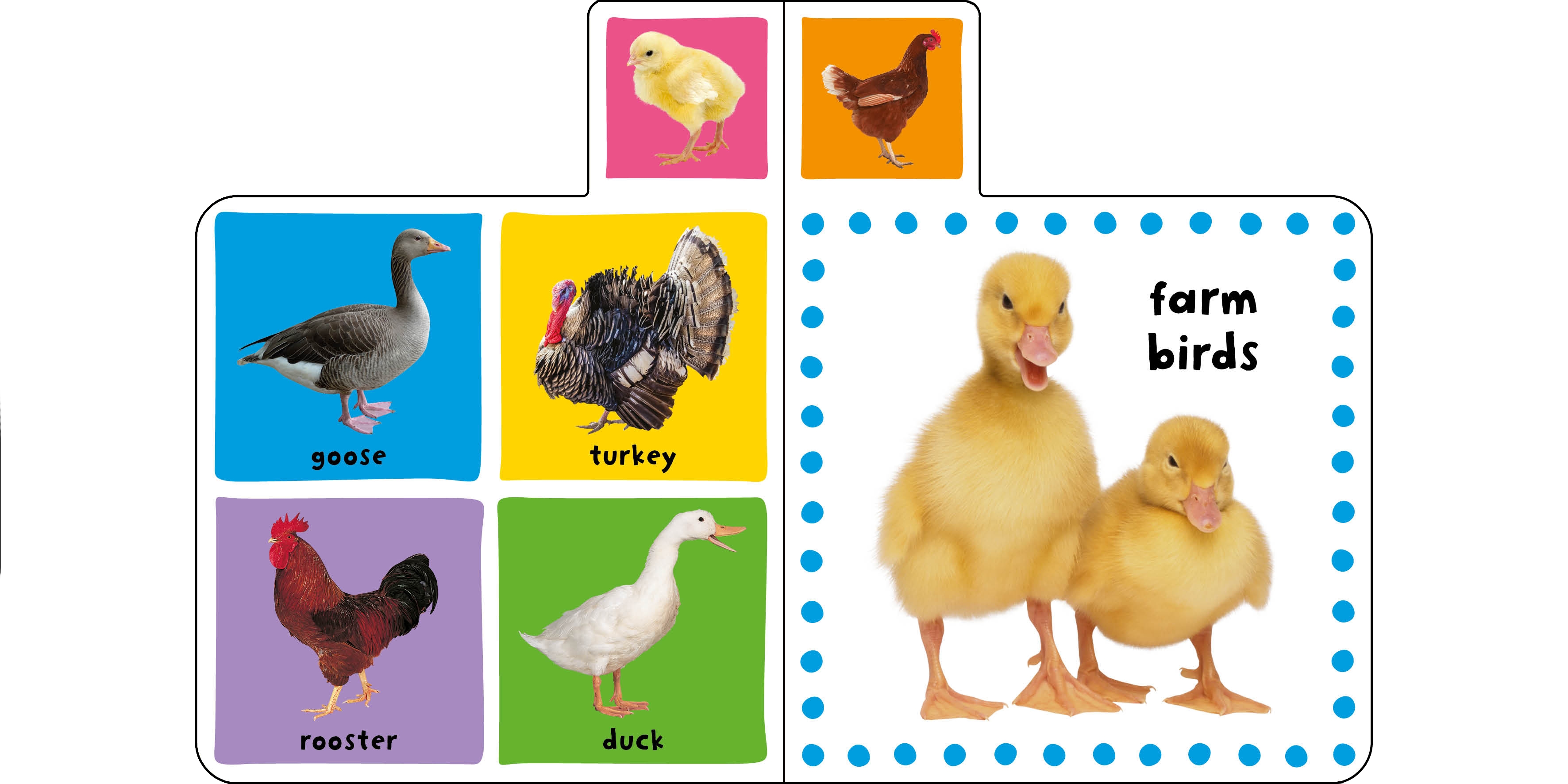 Fahasa - Mini Tab Books: Farm