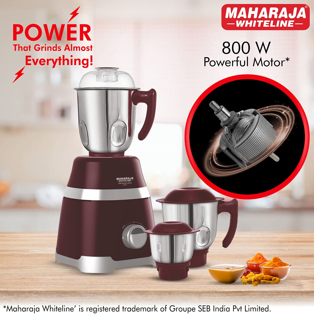 maharaja mixie price