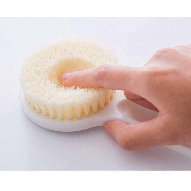 Cây bàn chải cọ lưng chà lưng