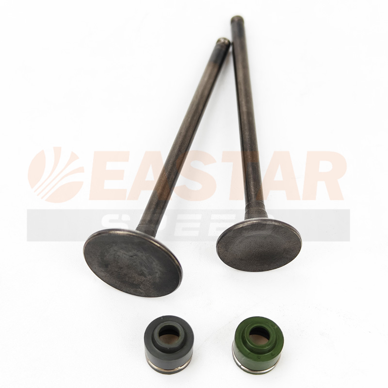 Bộ van Van Dù + Con dấu van cho RAIDER150