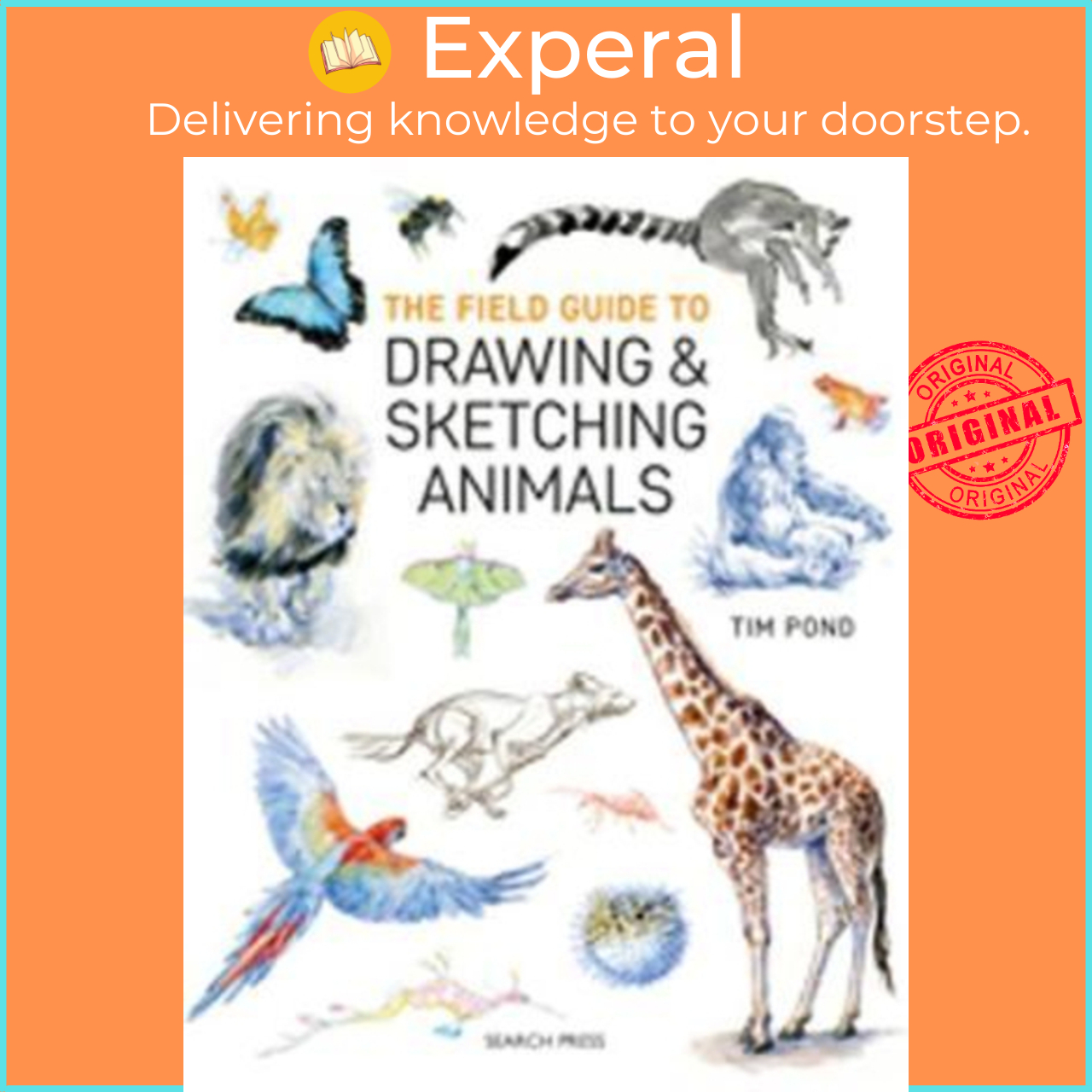 The Field Guide to Drawing & Sketching Animals by Tim Pond (UK edition,  paperback) | Lazada Singapore