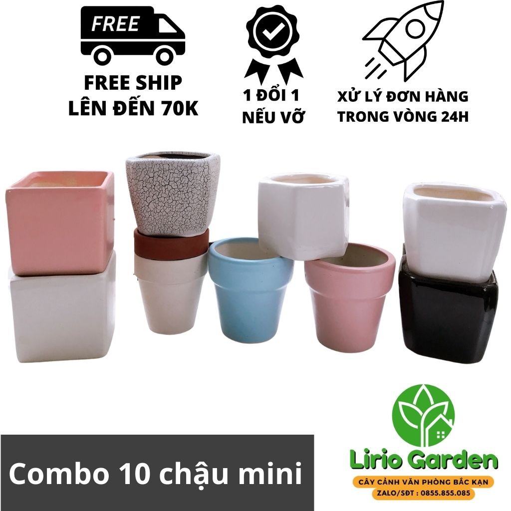 Combo 10 chậu sứ mini cao cấp trồng cây cảnh , xương rồng , sen đá