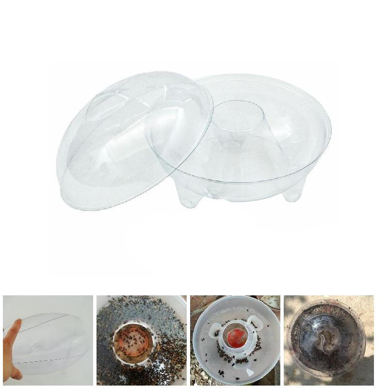 Bẫy bắt ruồi trong suốt hiệu quả mới
