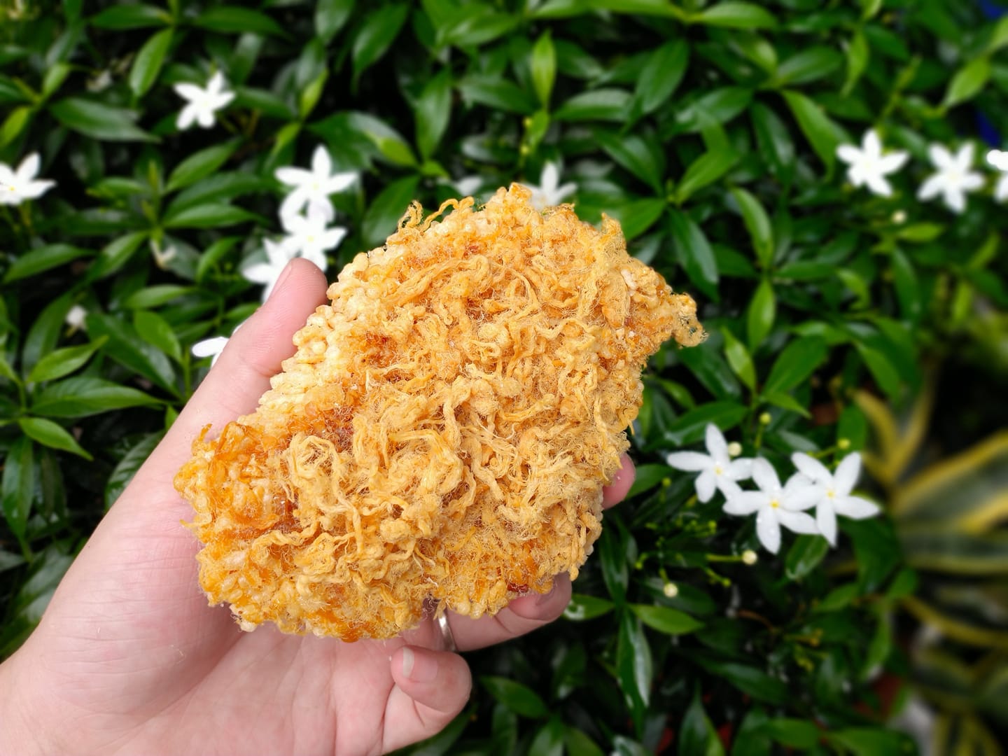 cơm cháy đáy nồi siêu chà bông 500gr (chính gốc đặc sản sài gòn)