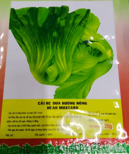 Hạt giống cải bẹ dưa (tòa xại) - gói 10 gram