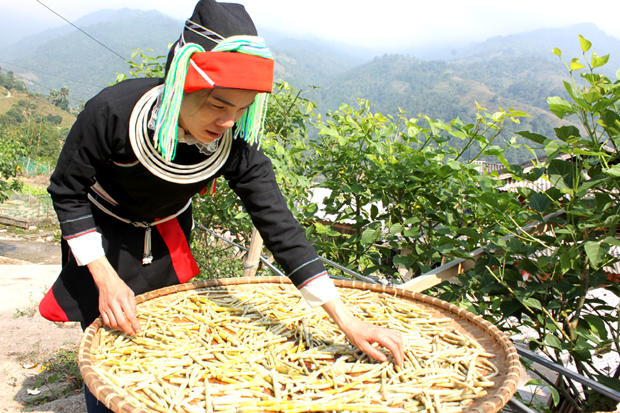 DUNG DỊCH XOANG MŨI DÂN TỘC DAO ĐỎ HÀ GIANG