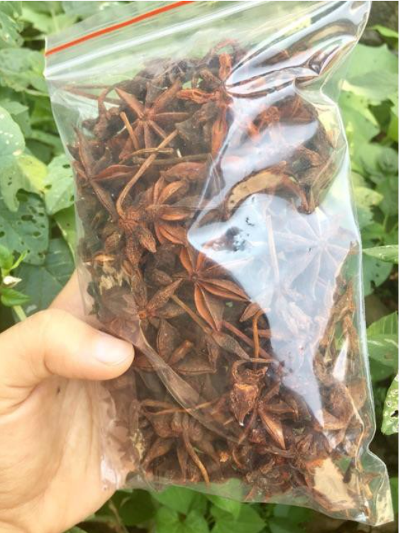 Hoa Hồi Tứ Xuyên 100g [Gia Vị Khô]