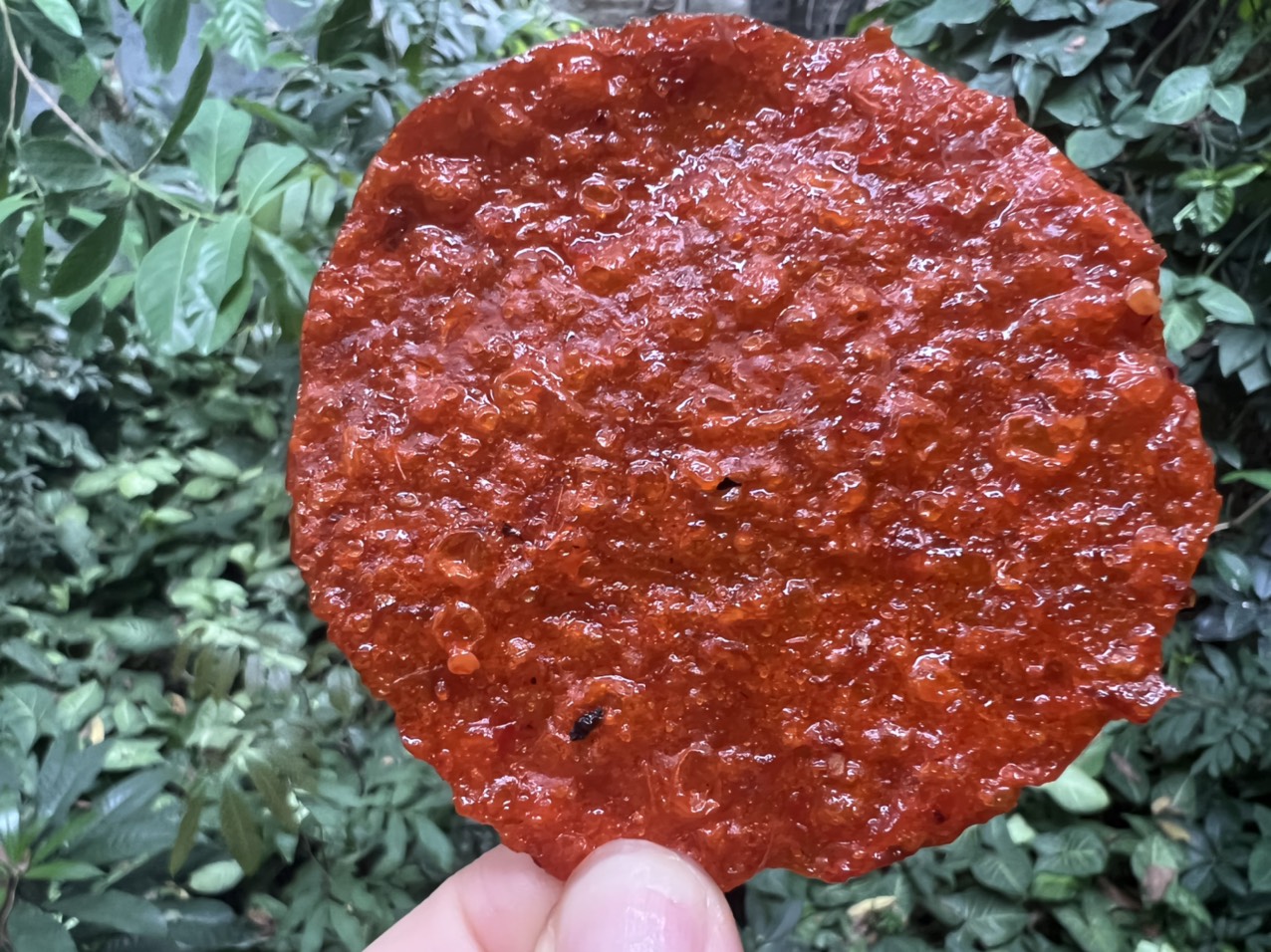 500GR KHÔ CÁ BÒ NƯỚNG SA TẾ ĐẶC SẢN ĐÀ NẴNG