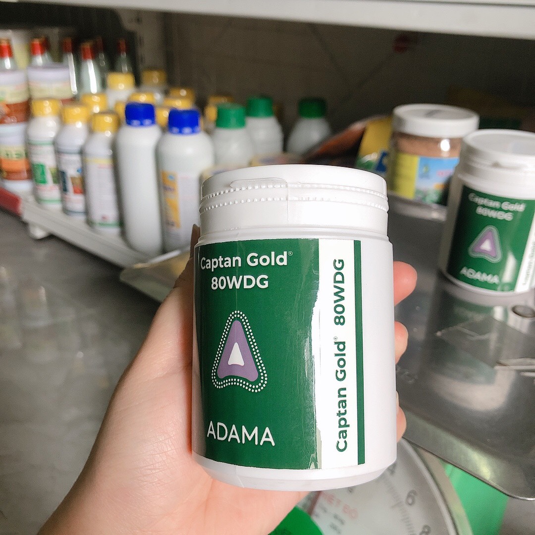 Trừ Nấm, Thối Nhũn - captangold MỸ- 100g