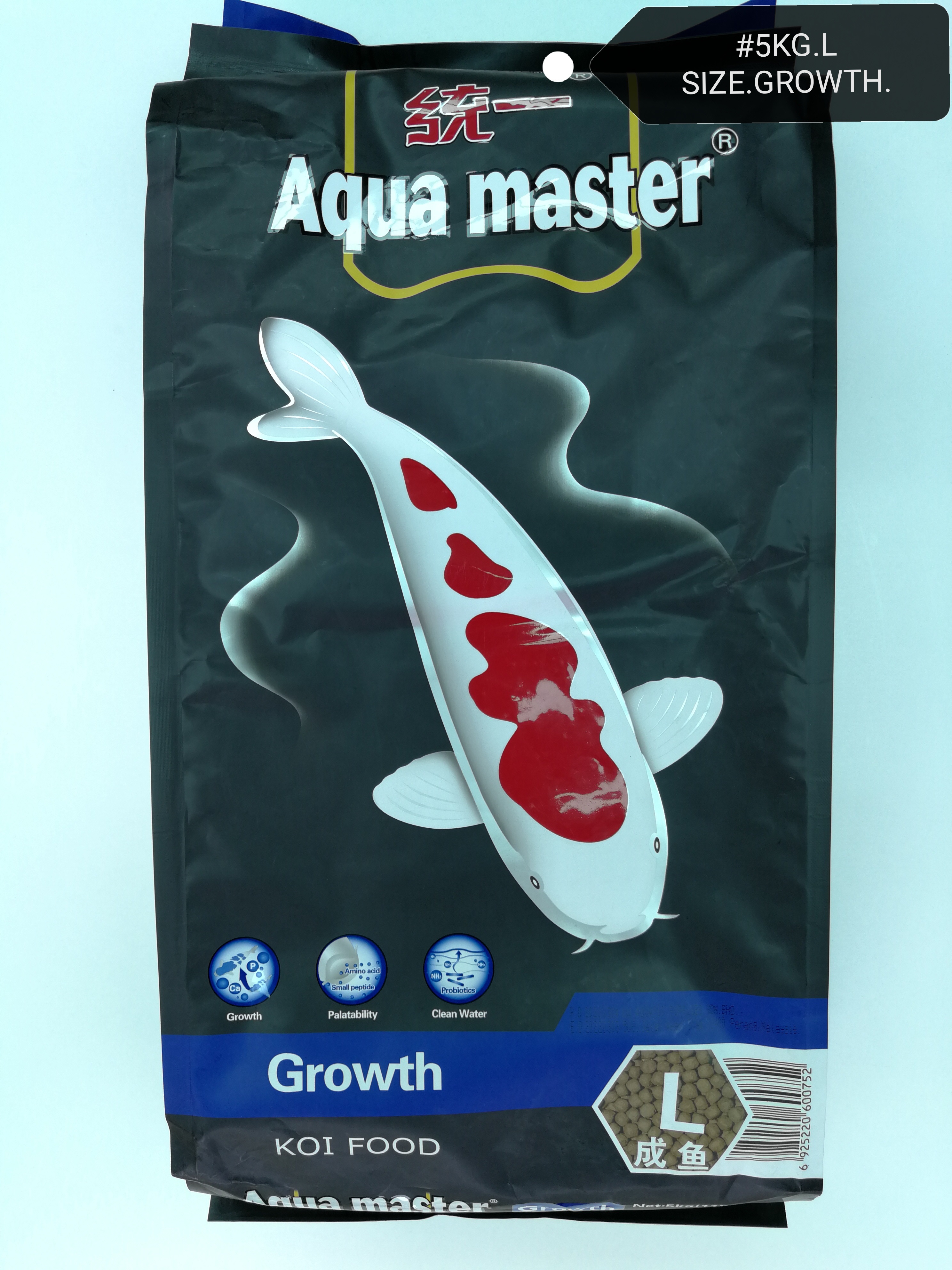 aquarium fish growth food