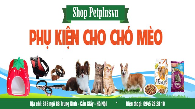 Whiskas Junior Thức ăn hạt cho mèo con gói 1,1kg