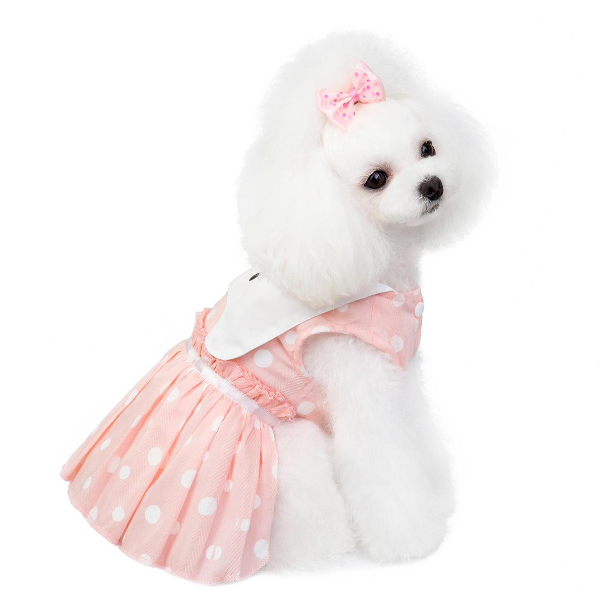 Polka Dot Dress for Dogs and Cats - T3 Pets Shop