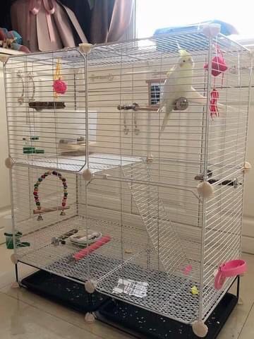 Combo Chuồng Chim Chuồng Hamster -Kèm khay vệ sinh đủ phụ kiện lắp- cao 82cm