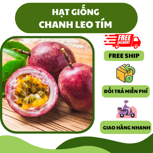 Hạt giống chanh leo tím, chanh dây - sai quả, mọng nước
