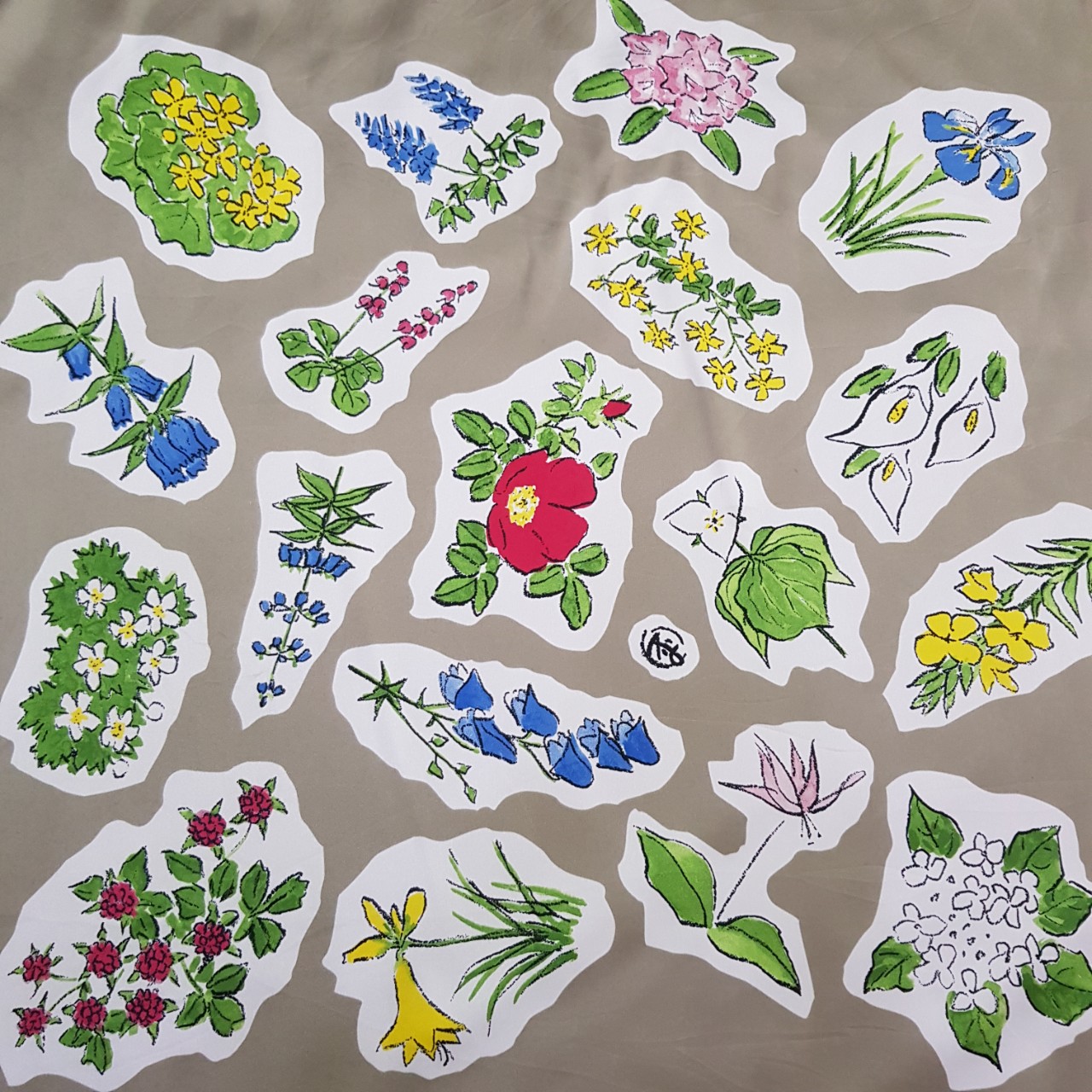 Khăn Lụa cao cấp, Khăn Silk , Khăn choàng nữ