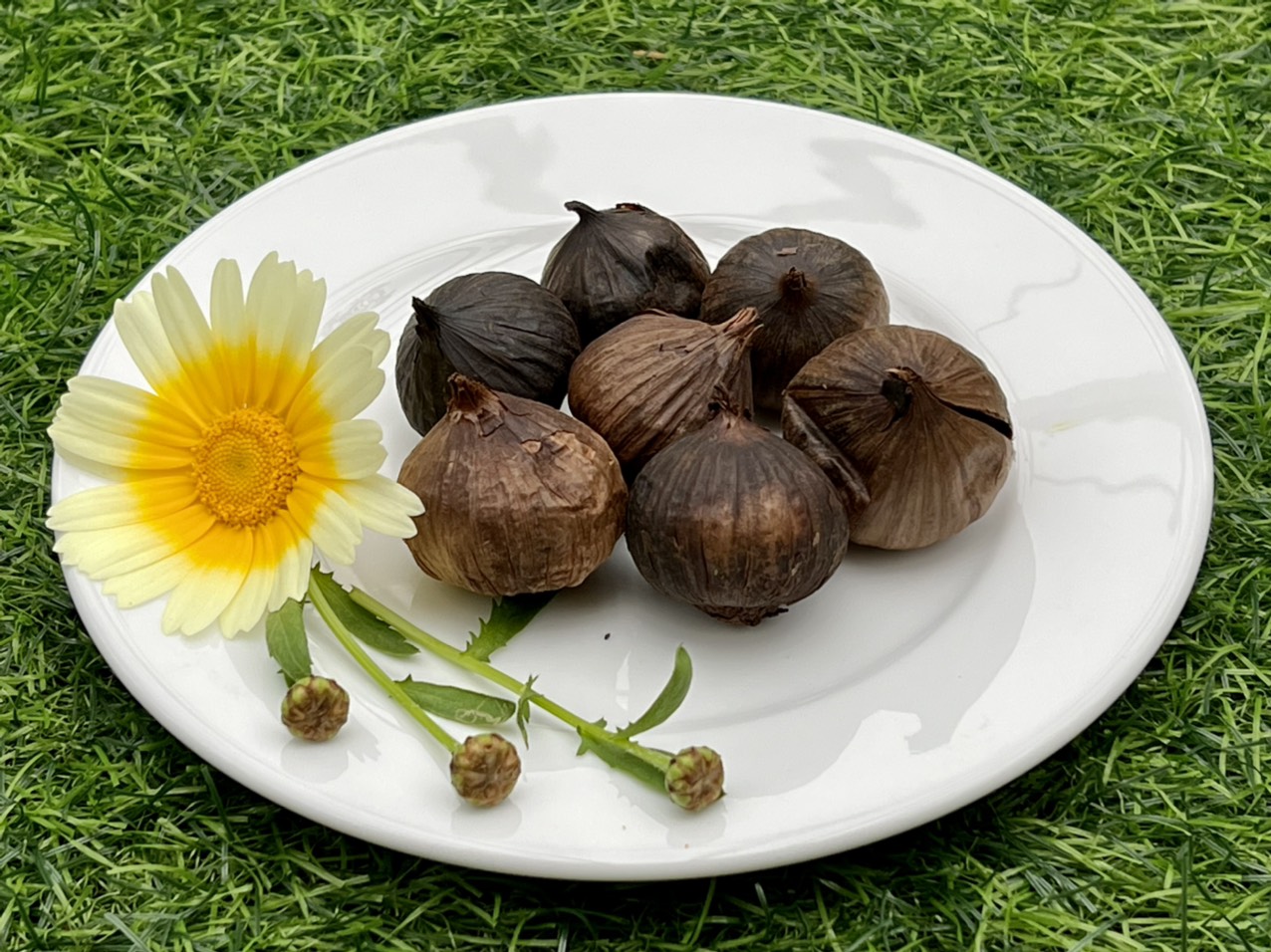 Hộp tỏi đen Sơn La 500gr (Tỏi cô đơn)
