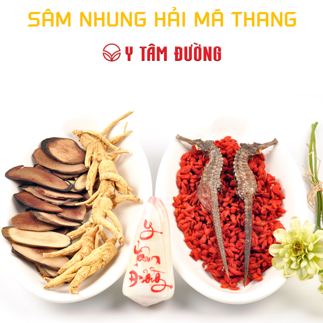 Thang Sâm Nhung H.Mã ngâm 4 lít