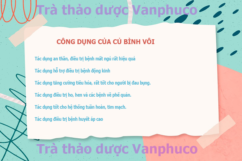 [ĐẢM BẢO] Củ Bình Vôi dành cho người mất ngủ - SẠCH, ĐẸP