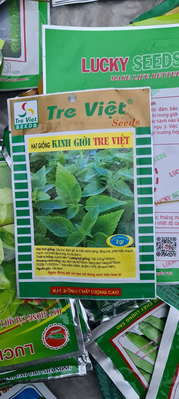 Hạt giống kinh giới gói 2gram tặng kèm trấu