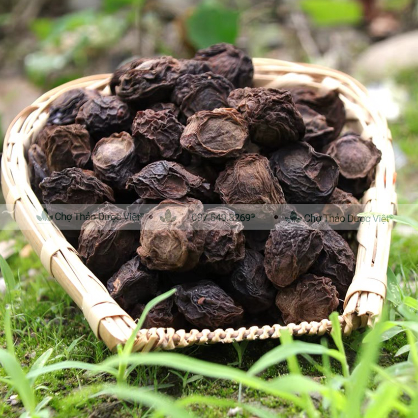 Hạt mắc mật khô 100g ( Hạt móc mật gia vị Tây Bắc tẩm ướp thịt quay) - Chợ Thảo Dược Việt