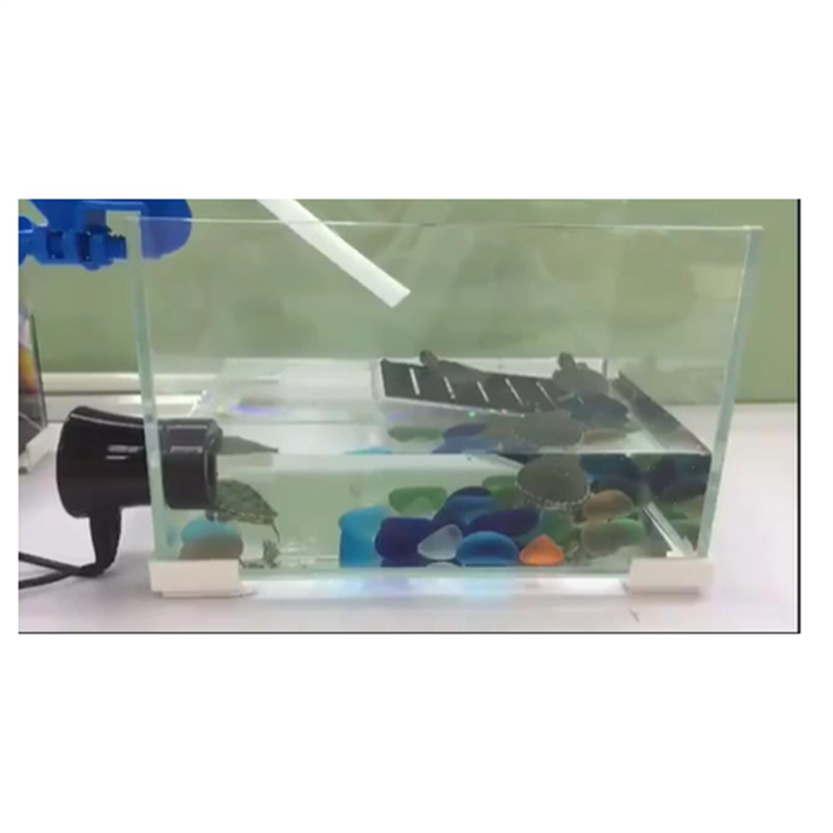 【LCG7】-Smart ATO Aquarium Auto Top Off System Reef Tank Automatic Water Pump Controller 110V-240V Smart Level Water