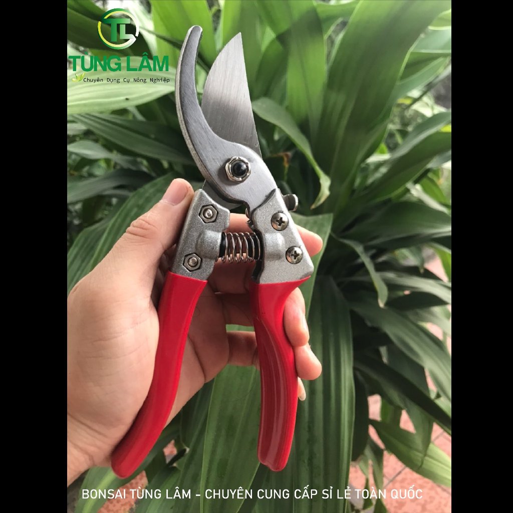 [FREESHIP] Combo 3 Món Dụng Cụ Làm Vườn Cây Cảnh Bonsai (Kéo Cắt Cành  Tay Nhựa , Kéo Cắt Cành Tay Nỉ Và Kéo Cắt Cành Tay Đỏ )