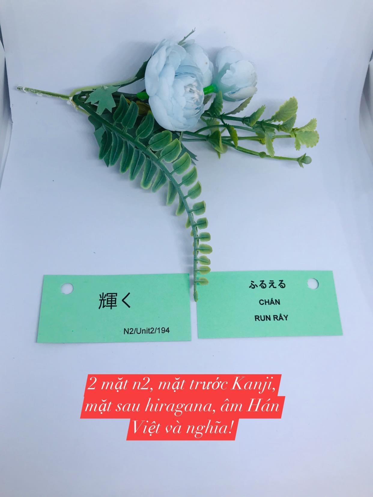 FLASHCARD TIẾNG NHẬT N2 MIMIKARA 1117 THẺ