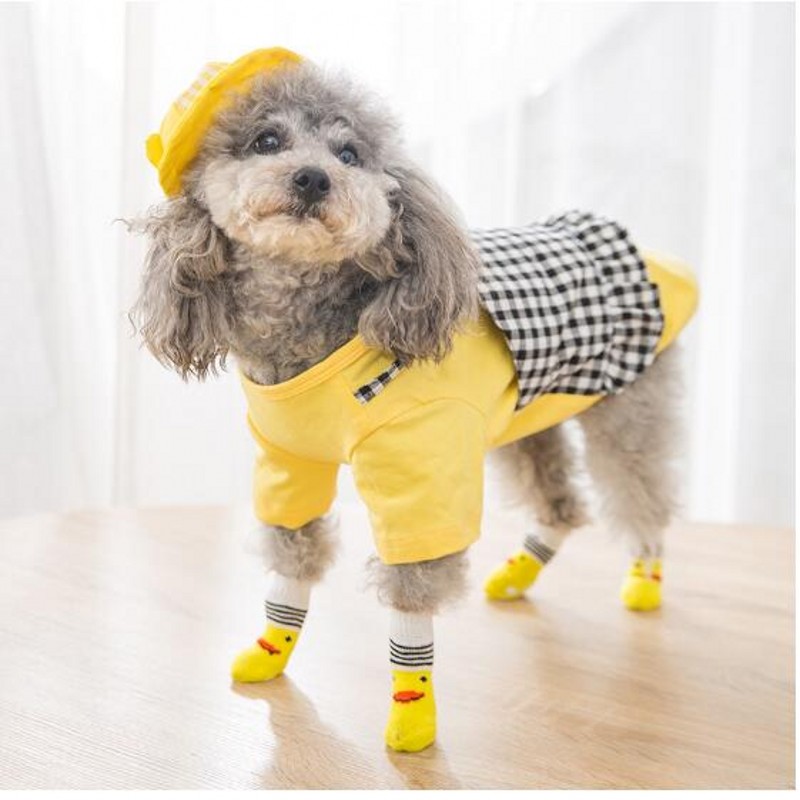 Wenefang%20Fashion%20Cut%20Pet%20Socks%20Non-slip%20bottom%20puppy%20socks%20Spring%20Autumn%20Winter%20Pet%20Teddy%20Sock%20-%20Image%202