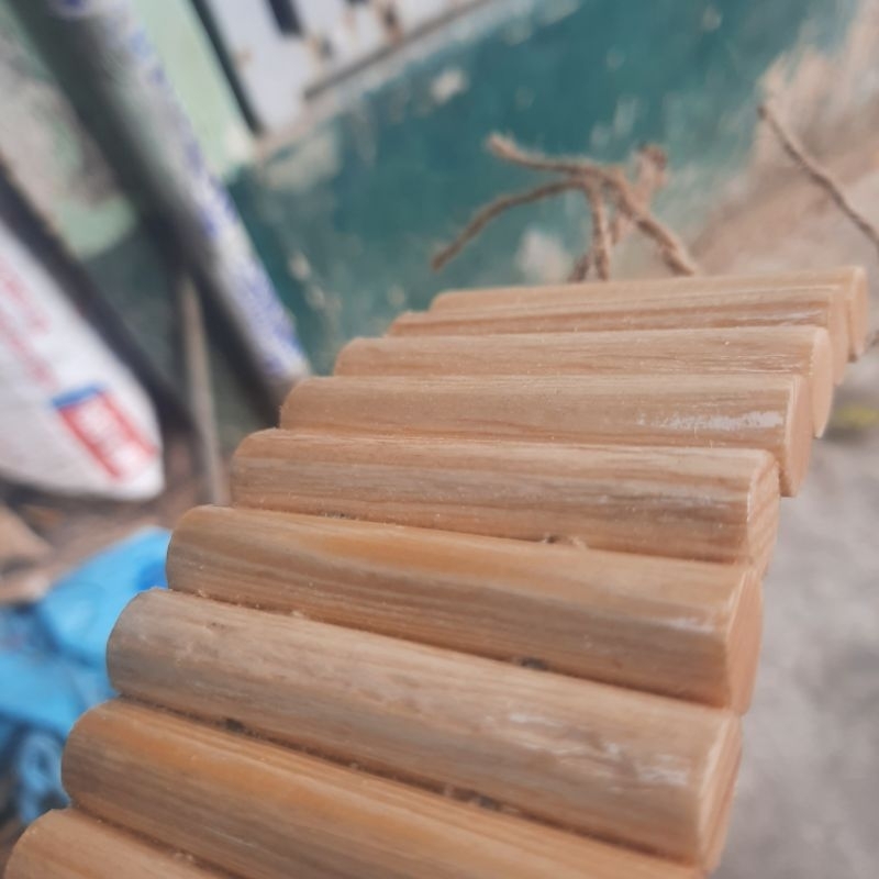 Thang Gỗ Uốn Cong Cho Ốc mượn hồn,Hamster,Bò Sát..Vv