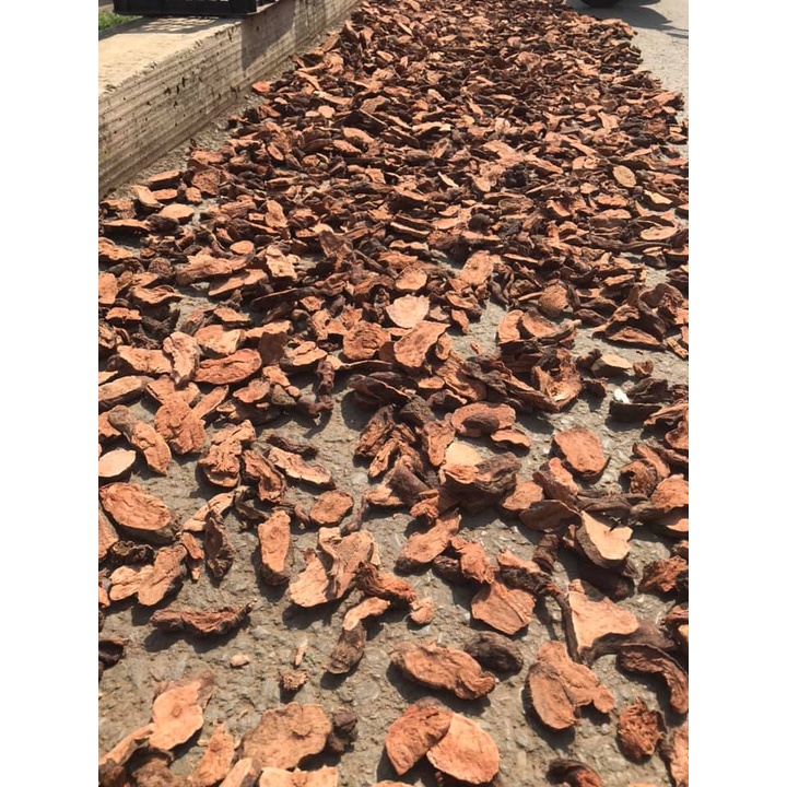 hà thủ ô đỏ khô 1Kg