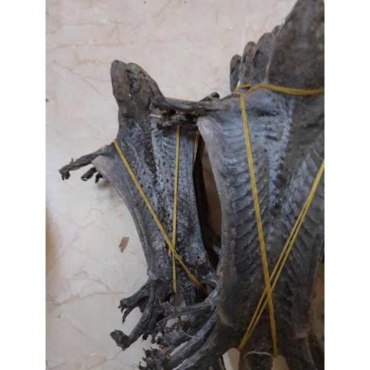 tắc kè khô nguyên con
