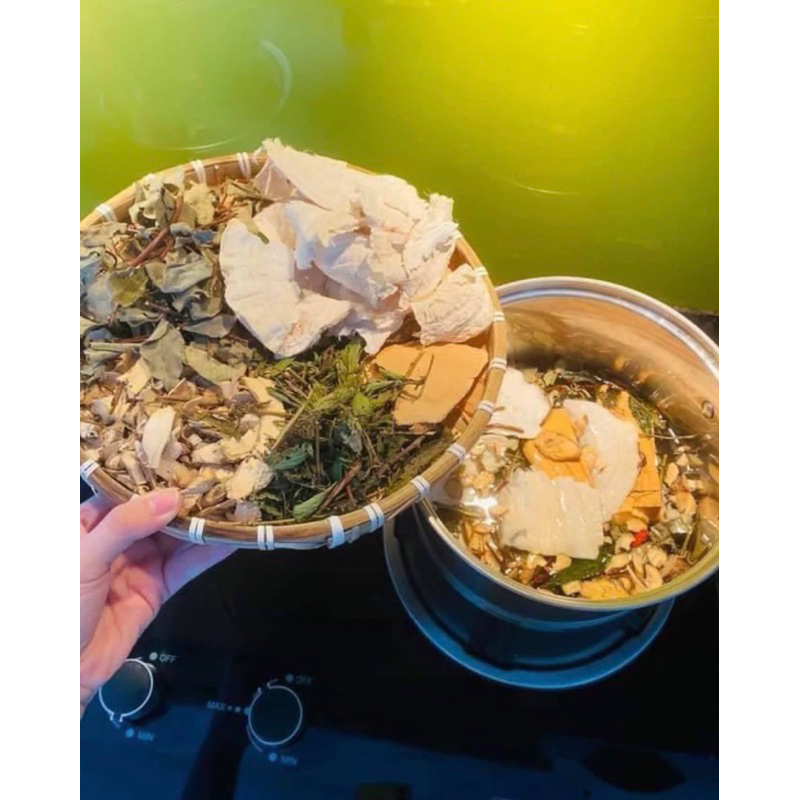 trà lá nam sâm tố nữ